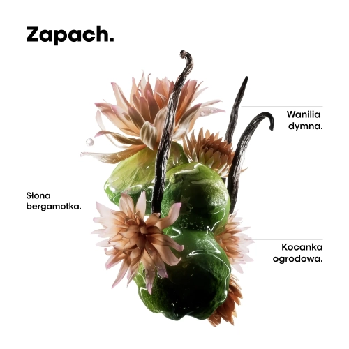 Grafika nut zapachowych olejku Absolut Repair Molecular – bergamotka, wanilia i kocanka ogrodowa.