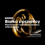 Technologia Absolut Repair – białko z pszenicy wzmacnia i odbudowuje włosy