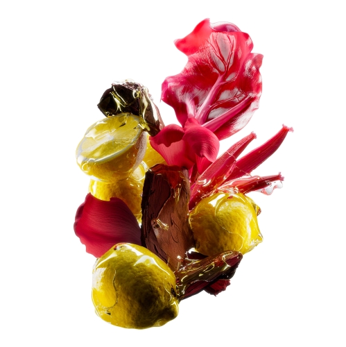 Nuty zapachowe odżywki Vitamino Color Spectrum – cytryna, różowy rabarbar i drzewo sandałowe