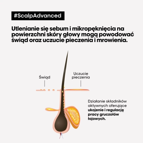 Schemat działania składników aktywnych szamponu L’Oréal Scalp Advanced na skórę głowy.