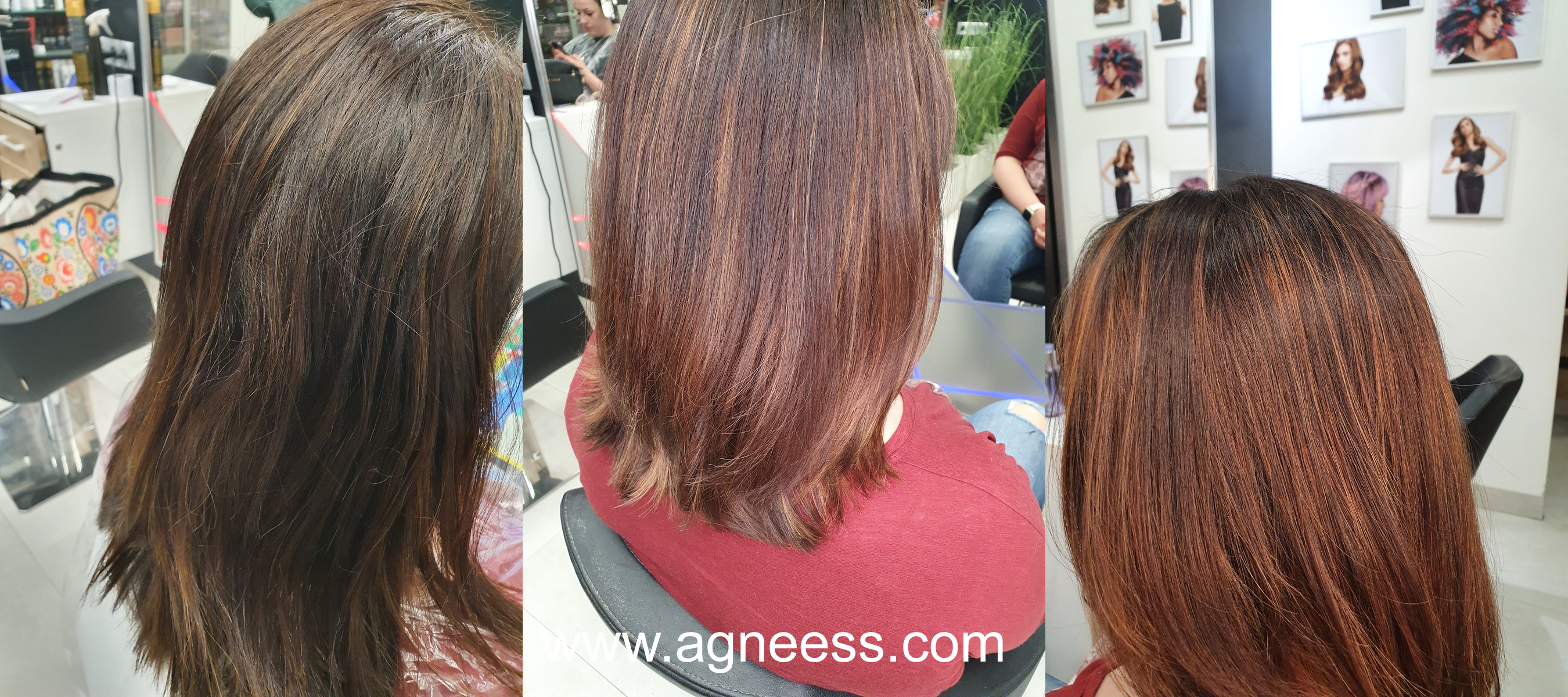 koloryzacja Duo Color wykonana w salonie fryzjerskim agneess