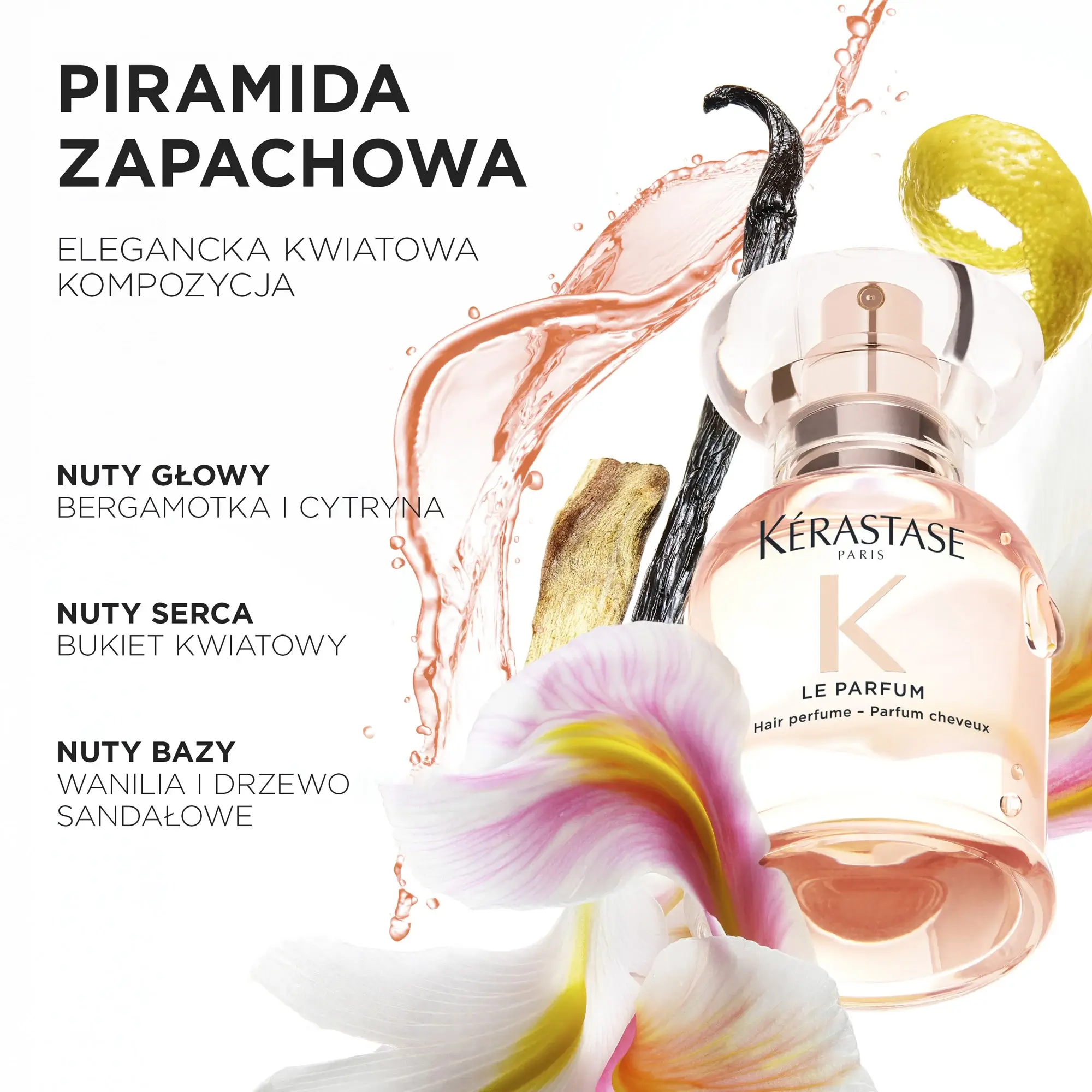 Nuty zapachowe Gloss Absolu – cytrusy i kardamon w otwarciu, kwiatowe serce, wanilia i drzewo sandałowe w bazie