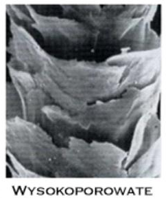 wygląd pod mikroskopem włosa Wysokoporowatego